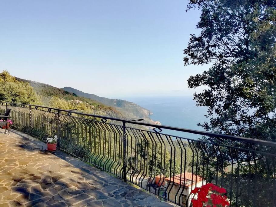 Nature&Sea Chalet Corniglia Bagian luar foto